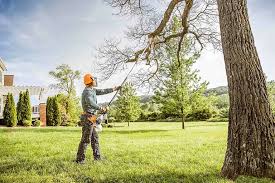 Best Storm Damage Tree Cleanup  in Dunmore, PA